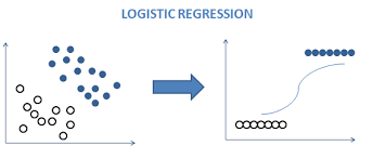 Regression Project